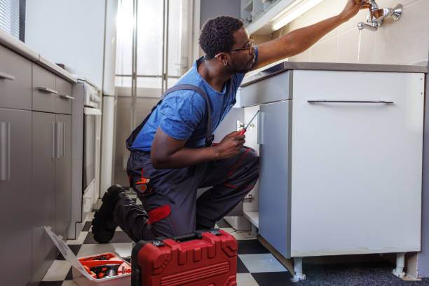 Best Local Plumber Services  in Pquemine, LA