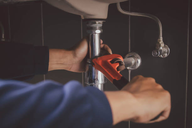 Best Leak Detection Services  in Pquemine, LA